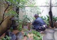 つくばいで清め